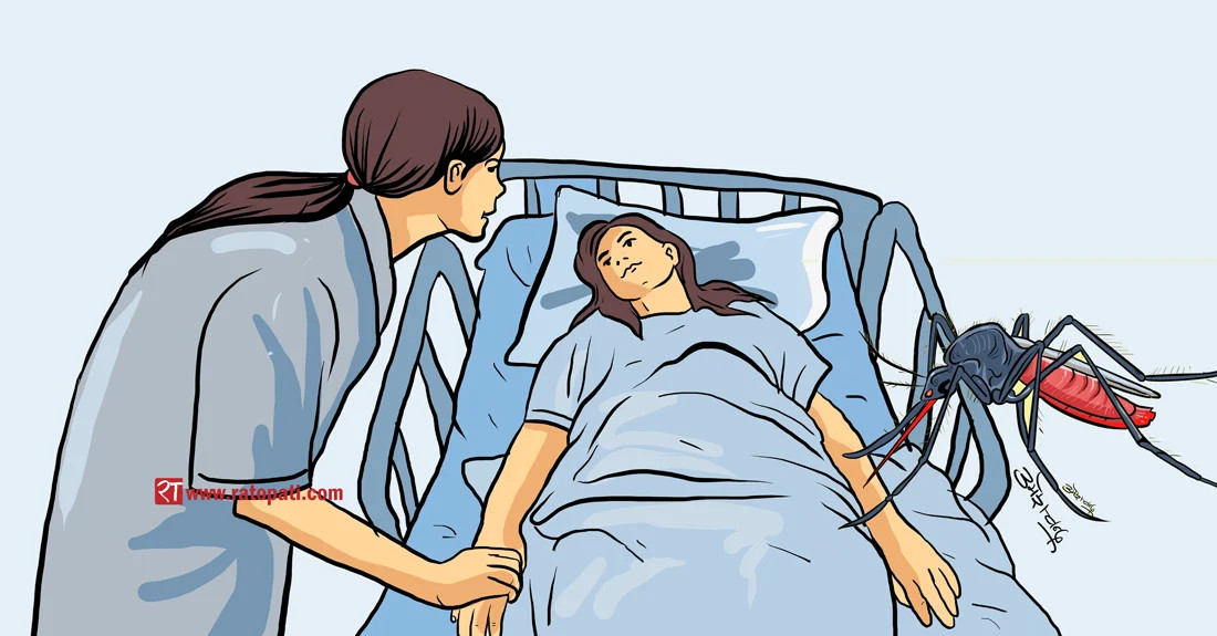 dengue-women_aBV2A90Drj.webp