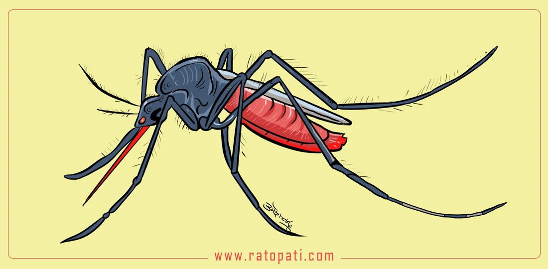 dengue-mosquito_kV1XLm0Vr3.webp