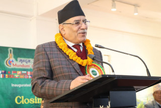 चित्रकलाले अन्तर्राष्ट्रिय एकतालाई प्रवद्र्धन गरेको छ : प्रधानमन्त्री 