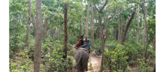 चितवनलाई जैविक विविधता तथा वन्यजन्तुको पर्यटकीय राजधानी घोषणा गरिने