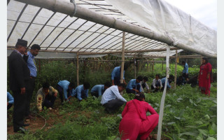विद्यार्थीलाई अभ्यासमूलक व्यावहारिक शिक्षा दिँदै ‘यशोधरा’