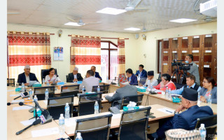 विचाराधीन विधेयक अघि बढाउन सभापतिलाई सुझाव