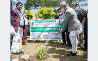 निजामती सेवा दिवसका अवसरमा वृक्षरोपण