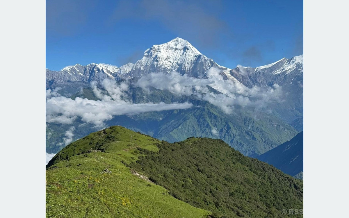 धवलागिरि आरोहण गर्न २४ जनाले अनुमति लिए